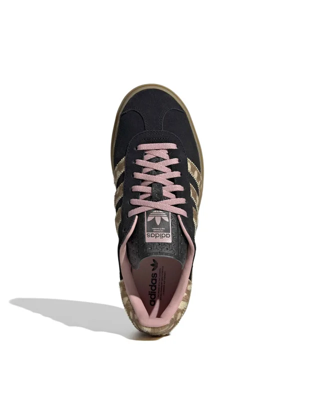 Gazelle Bold