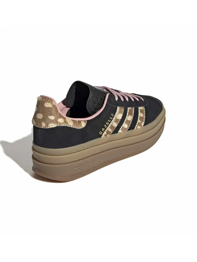 Gazelle Bold