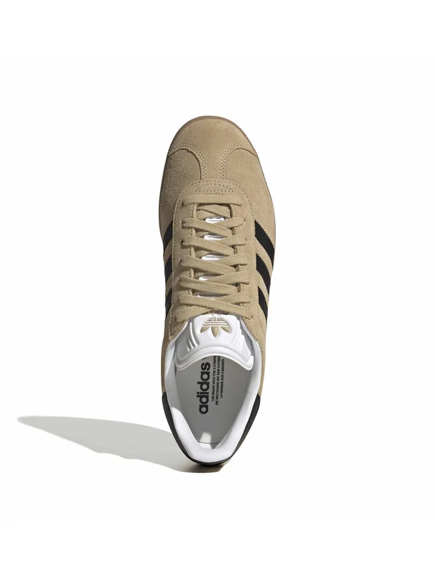Gazelle