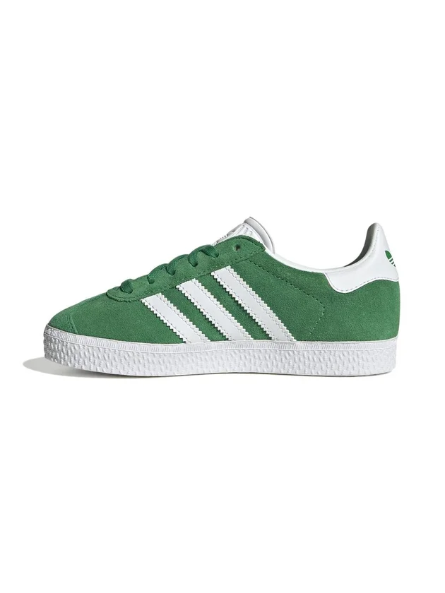 Gazelle C
