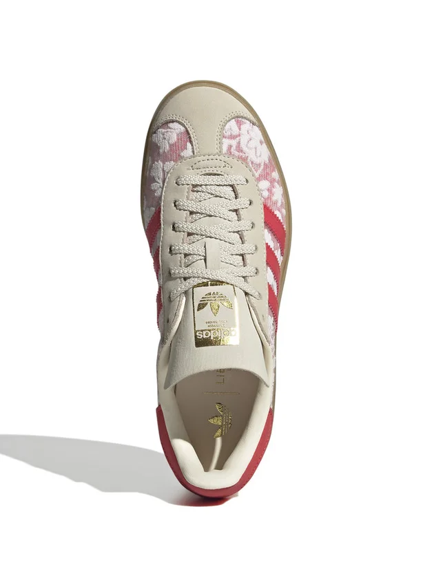 Gazelle Bold