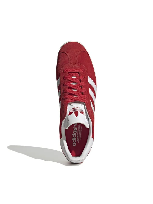 Gazelle